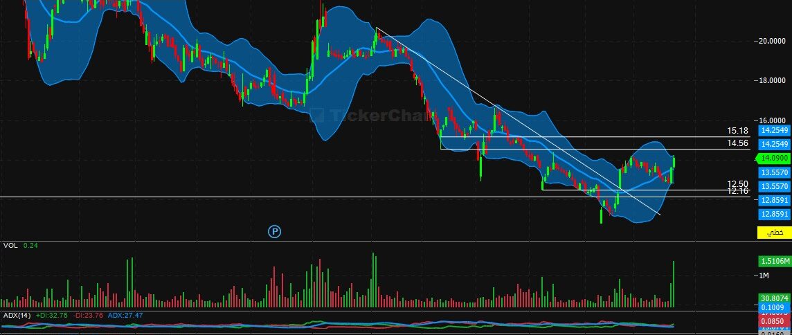 تحليل سهم سلامة اليوم