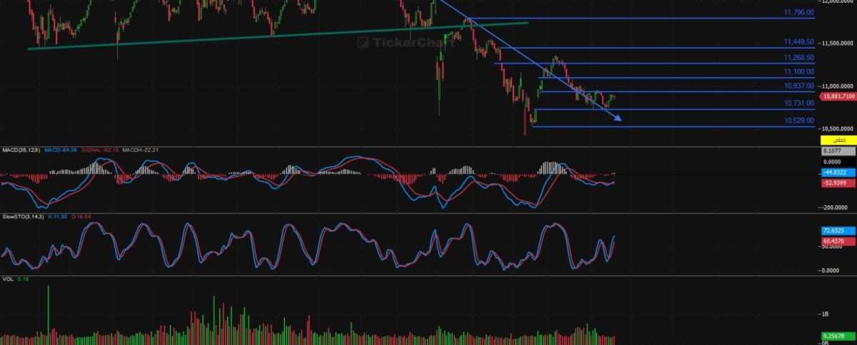 مؤشر افتتاح جلسة اليوم الاربعاء 20/8/2025