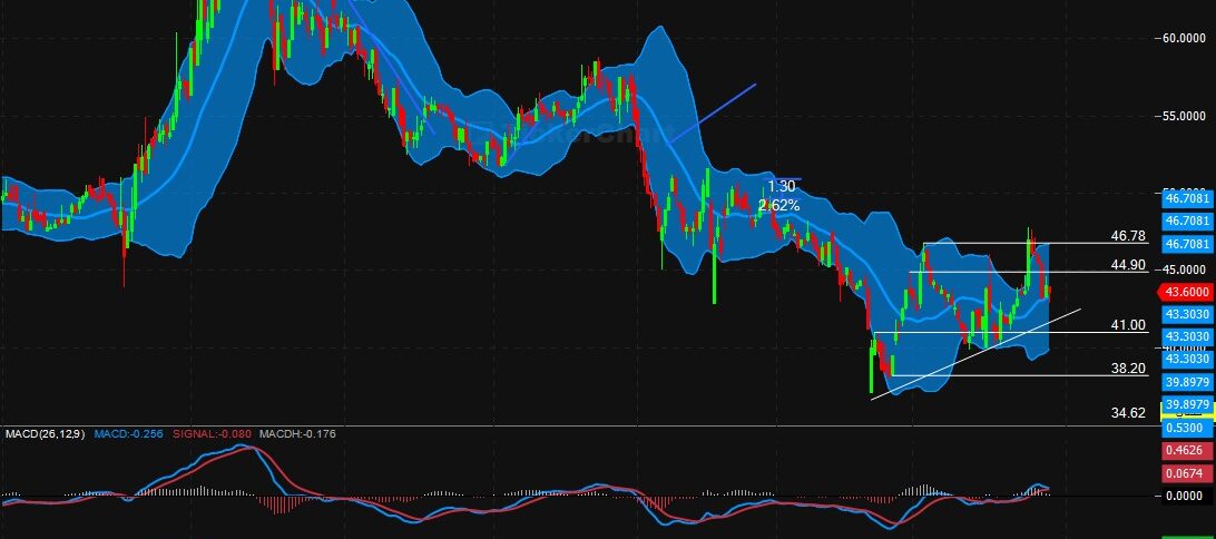 تحليل سهم حلوتني اخوان اليوم