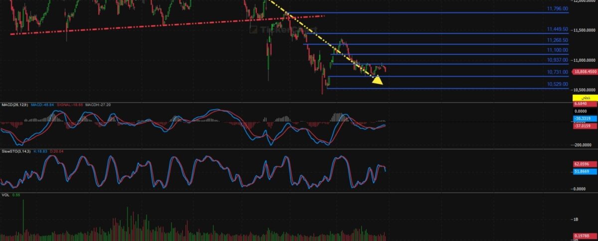 مؤشر افتتاح جلسة اليوم الخميس 28/8/2025