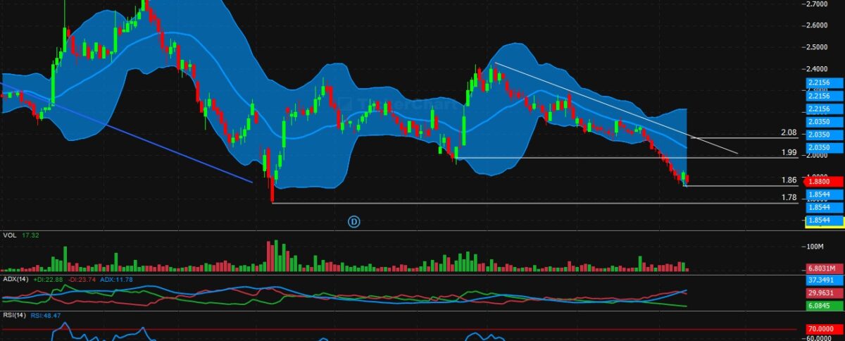 تحليل سهم امريكانا اليوم