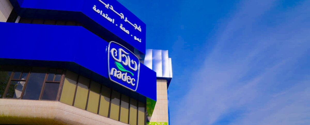 تحليل سهم نادك اليوم